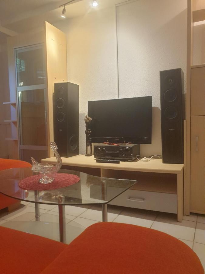 Sions Grosse Ferienwohnung Ferienwohnung Mit 3 Schlafzimmer, 2 Km Bis Zum Europapark Rust Капел-Графенхаузен Екстериор снимка